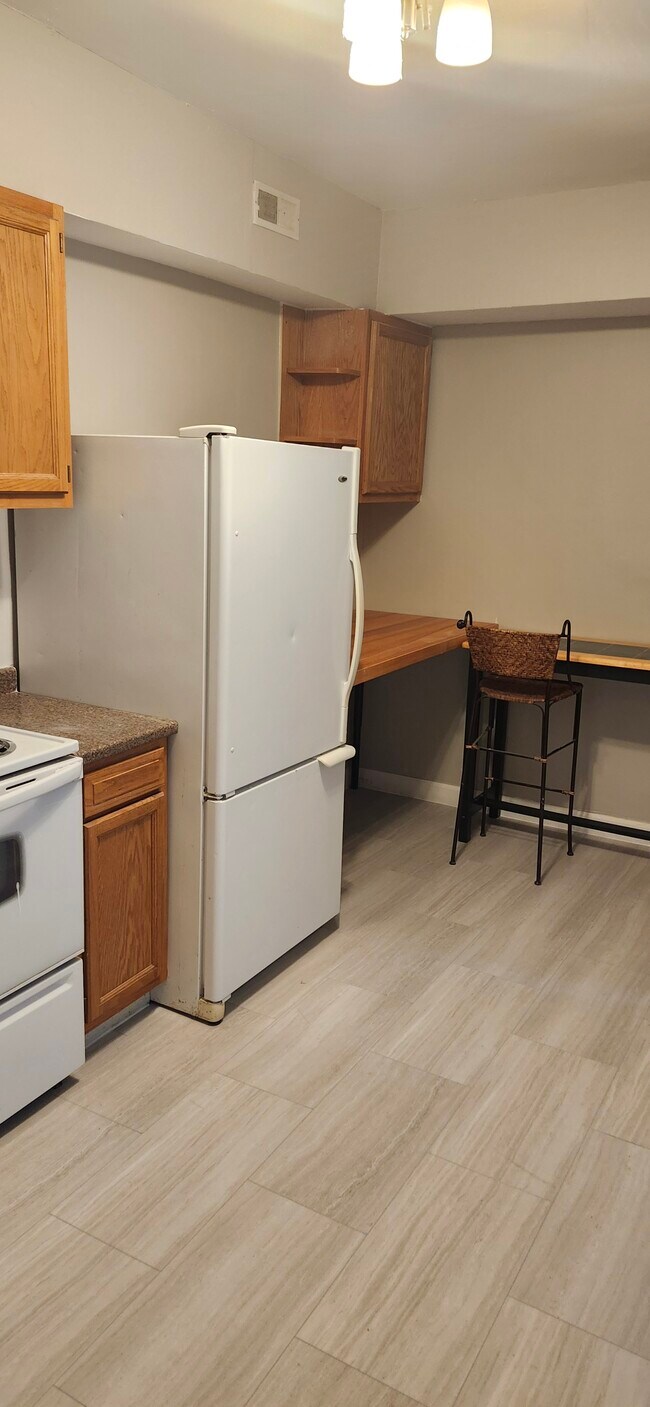 4457 Westminster Place, Saint Louis, MO 63108 - photo 5