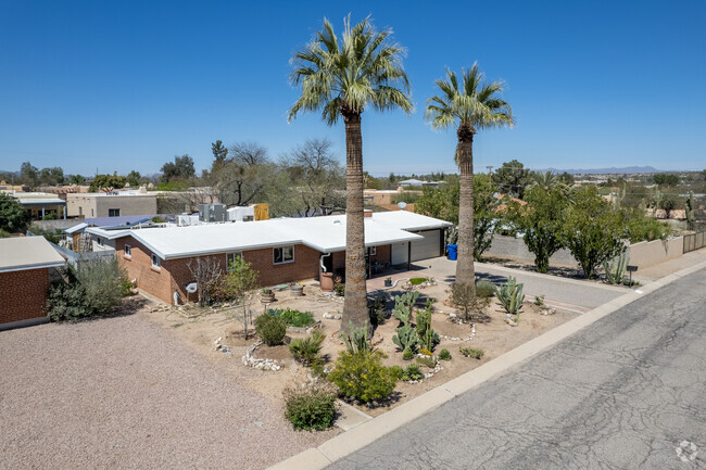 Single-Family Home With Old Palm Trees