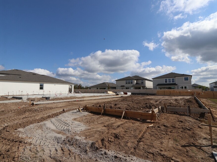 3136 Fall Harvest Dr, Zephyrhills, FL 33540 - photo 1