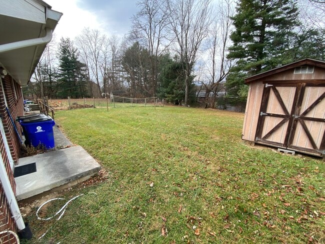 backyard 2
