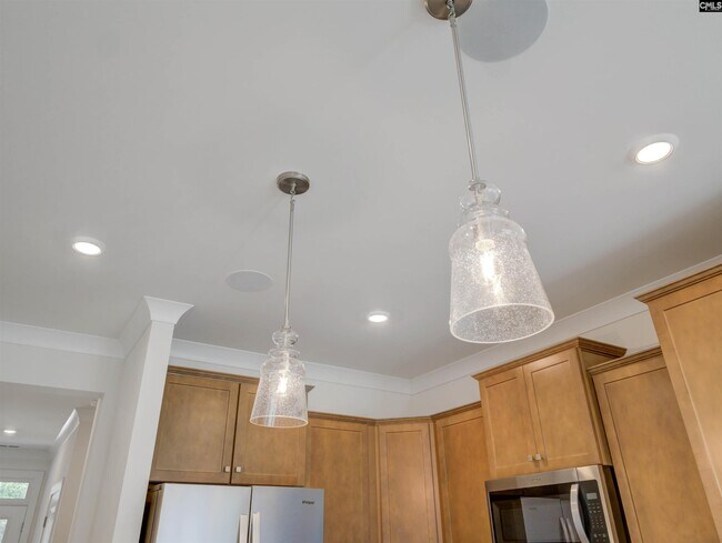 231 Forgotten Trail, Lexington, SC 29072 - photo 6