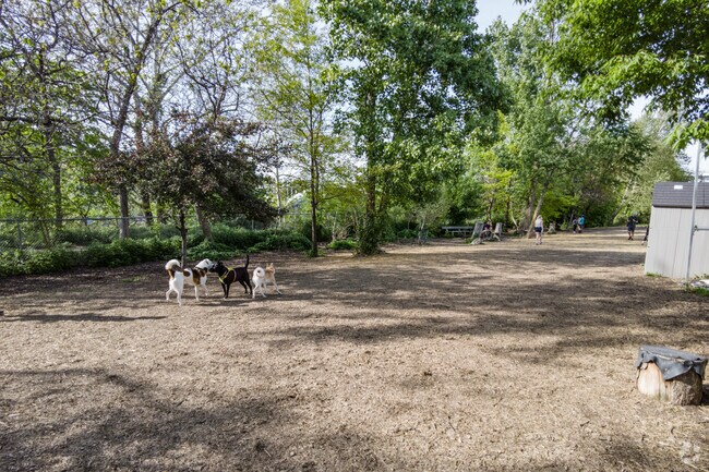 Bernard Dog Park is large and has lots of room for your Lower Lawrenceville pets to run.