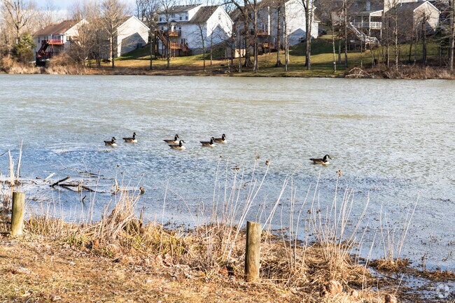 The various waterways of La Grange are home to a variety of different species.