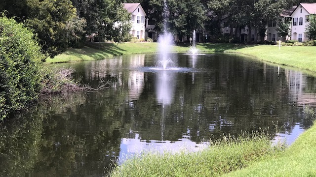 Pond