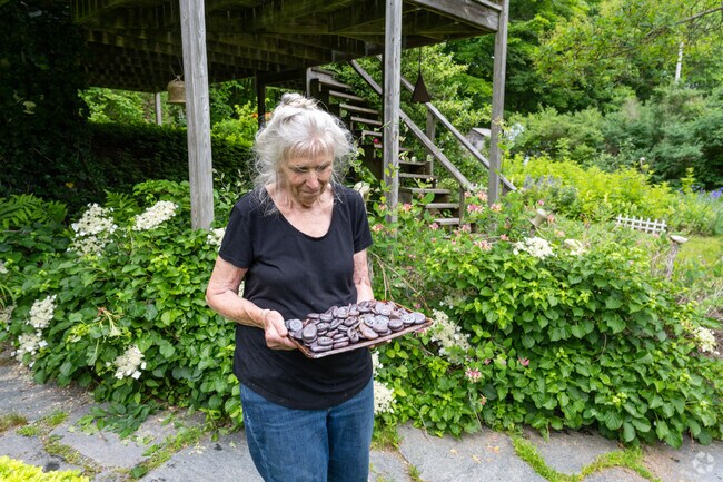 Explore local gems at the Art & Garden Tour in Ashford with friendly hosts and creative sights.