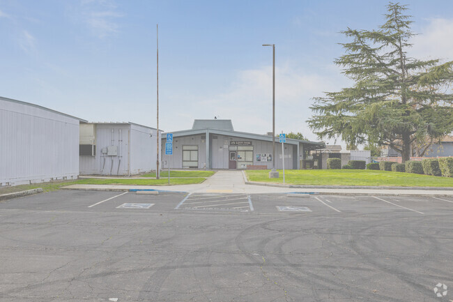 Nurturing creativity and growth at Live Oak School.