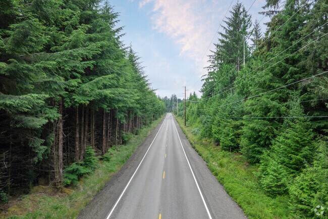 State route 109 and Ocean Beach Rd. connect Pacific Beach, WA with the rest of the area.