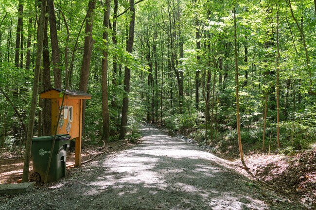 A trail winds through the Lake Charlotte Preserve, offering Orchard Knob residents access to over 200 acres of natural forest.