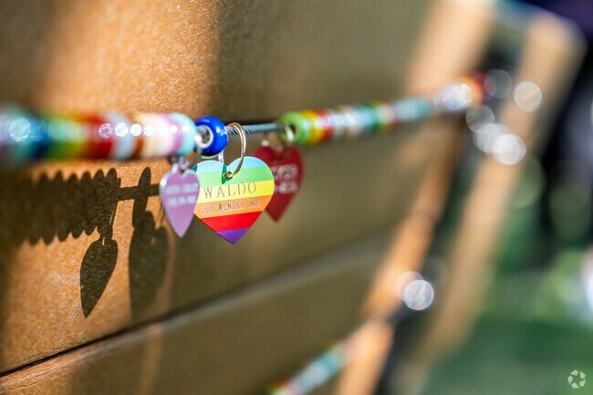A park bench in Normandy Park, is decorated with pet tags and other colorful ornaments.