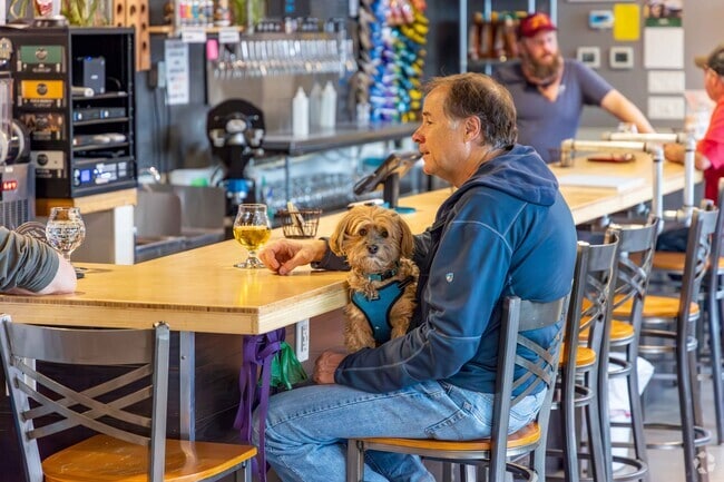 Maxline Brewing has around 20 rotating craft beers on tap and daily food trucks.