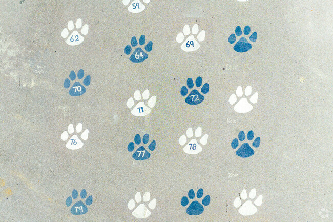Jemison High School is the proud home of the panthers.