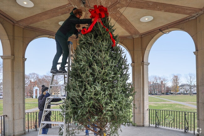 Decorating on the Common celebrates the season with a festive tree lighting.