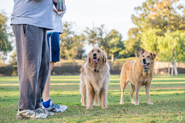 Wagsdale Dog Park is a well-maintained park for dogs of all sizes to run around in.