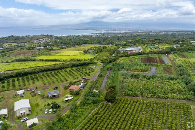 Farmland borders the sea in Waihee.