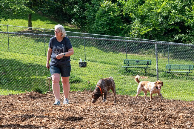 Inside Leita Thompson Memorial Park, there is a dog park located near Wexford.