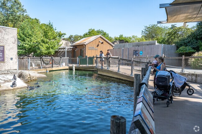 The Maryland Zoo near Burleith-Leighton is a great spot to see penguins.