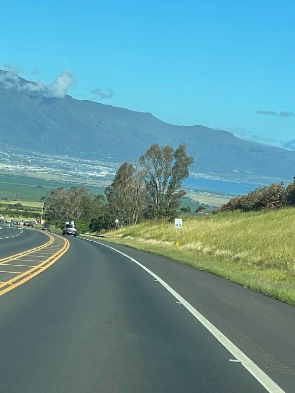 1054 Makawao Ave, Makawao, HI 96768 - photo 4