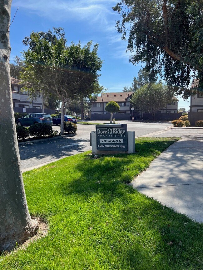 6556 Arlington Ave, Riverside, CA 92504