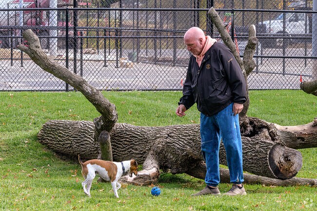 A man plays fetch with his Jack Russell Terrier at McCaw Park, near Orchard Heights.