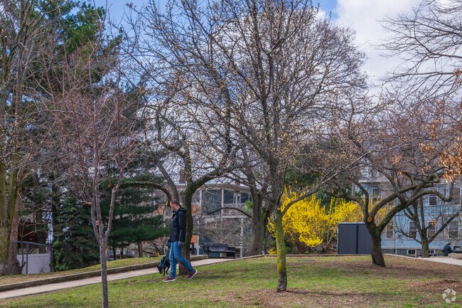Bailey Park sits between two roads in Spring Hill and is popular among dog walkers.