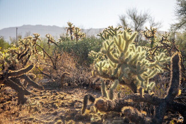 Estes Park is situated in East Tucson-- an area known for its natural desert landscapes.