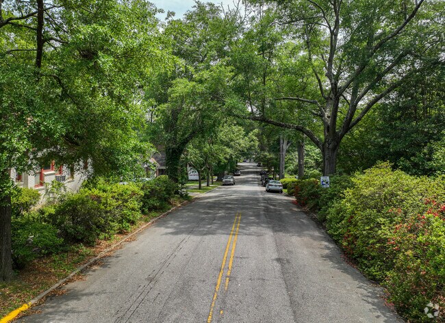 A streetscape in Cottontown shows the lush landscape and quiet streets.