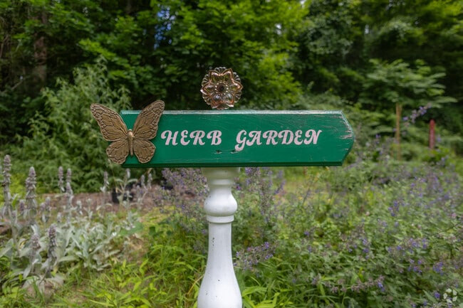 A quiet moment in Wrightstown’s butterfly garden, where monarchs flutter through wildflowers.