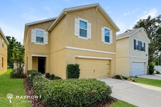 10105 Hawk Storm Ave, Tampa, FL 33610