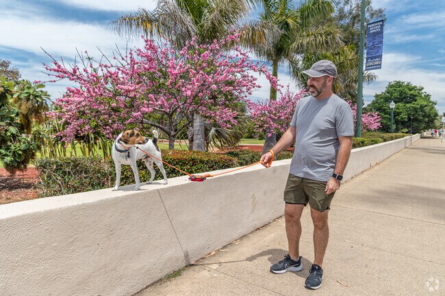Half a million dogs call San Diego home-- Cortez Hill is dog friendly with access to parks.
