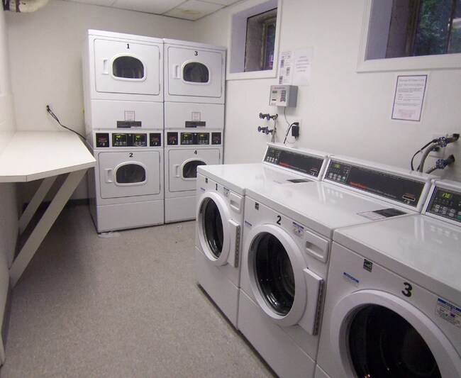 97 Strathmore Rd, Brighton, MA 02135 - photo 3