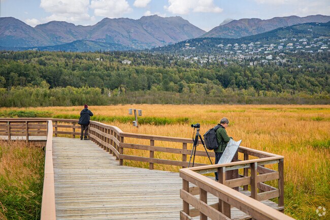 Wildlife lovers revel Potter Marsh Wildlife's seasonal avian migrations for dazzling displays.