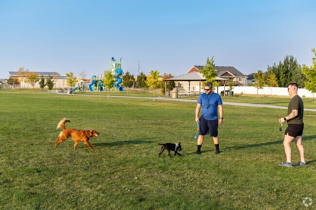 Saddle Ridge Park features a large grass field for all sorts of activites.