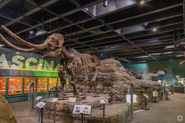 Learn about Earth and its history at Discovery World in Edmeyer Park.