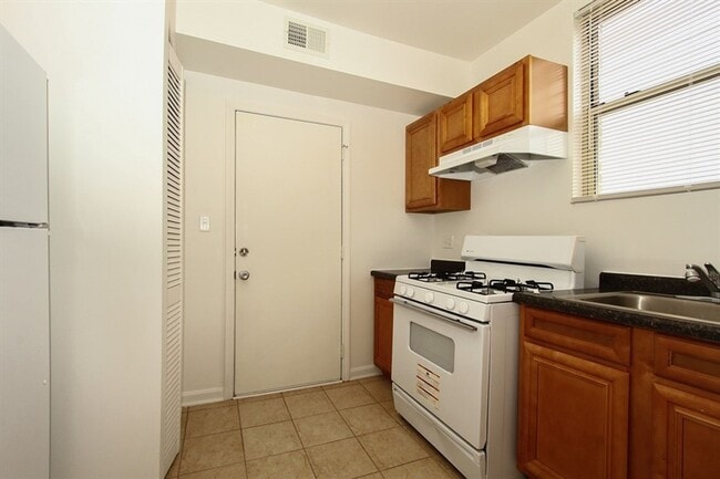 8238 S Ellis Ave Chicago, IL 60619, Chicago, IL 60619 - photo 2