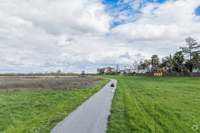 Big Break Regional Shoreline in Oakley has scenic walking paths.