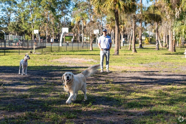 The dog park at Golden Gate community park has plenty of space for pups to play.