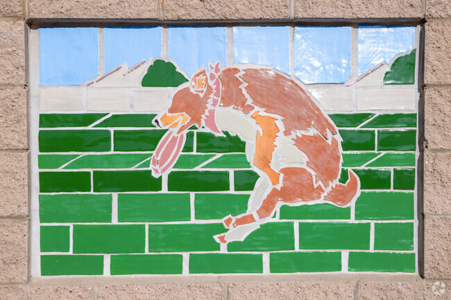 Continental Ranch Community Park is a dog friendly space in Tucson.