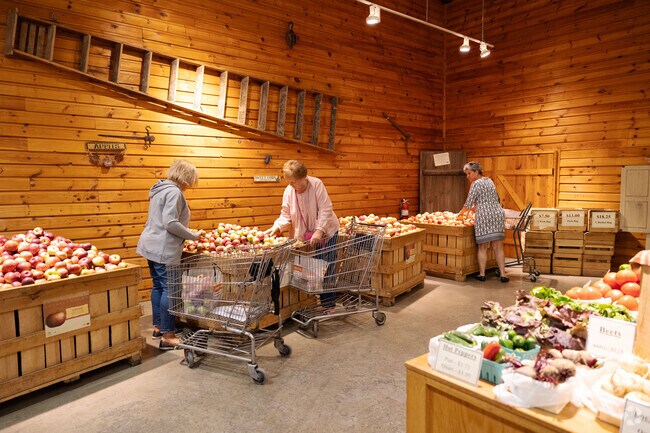 Way Fruit Farm has been a staple of the Worth area since 1826 and grows over 30 types of apples.