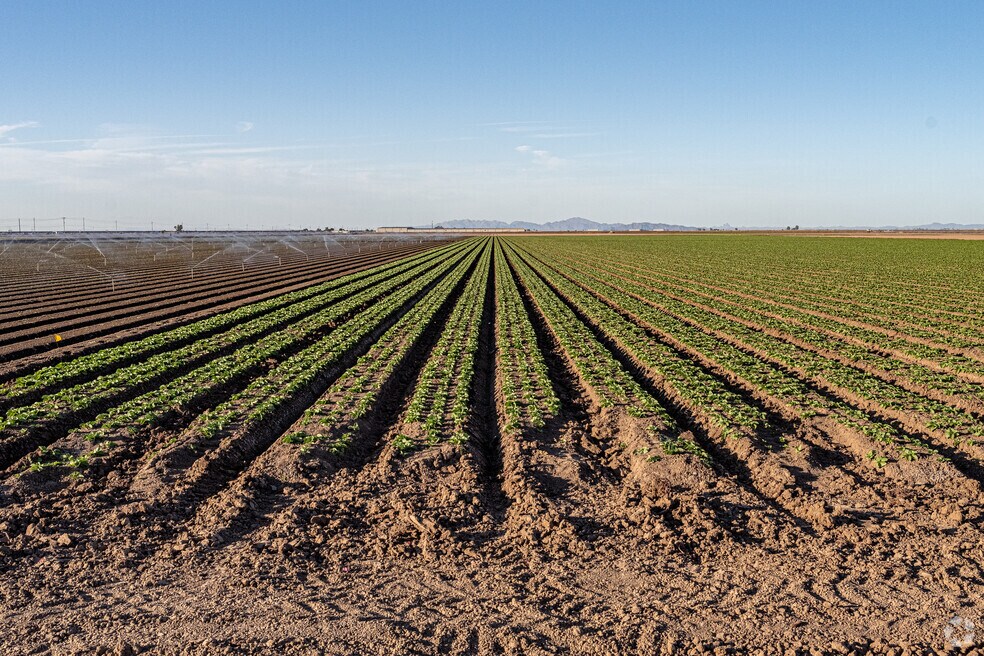 Nh_Gadsden_557419_P2_V