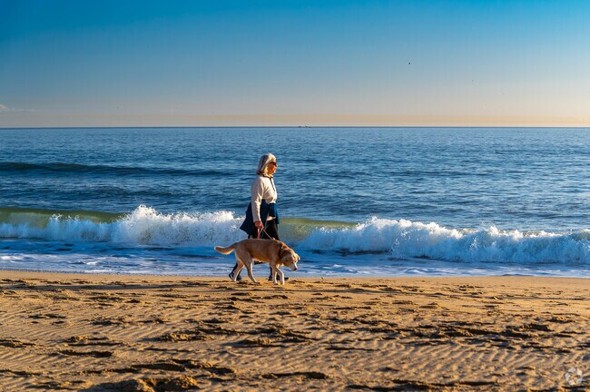 Just a few minutes away, Oceana residents love taking their pets for a walk in the sand.