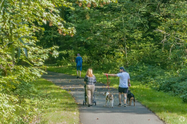 Bring the family to Karen Fraser Woodland Trail to explore Indian Creek.