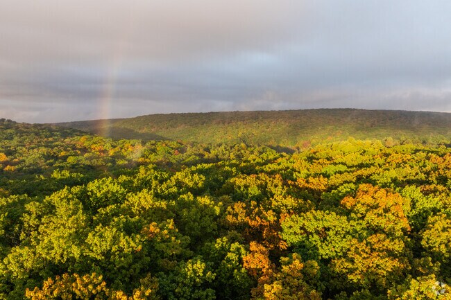 A rainbow over Black Moshannon’s trees highlights Rush’s natural beauty.