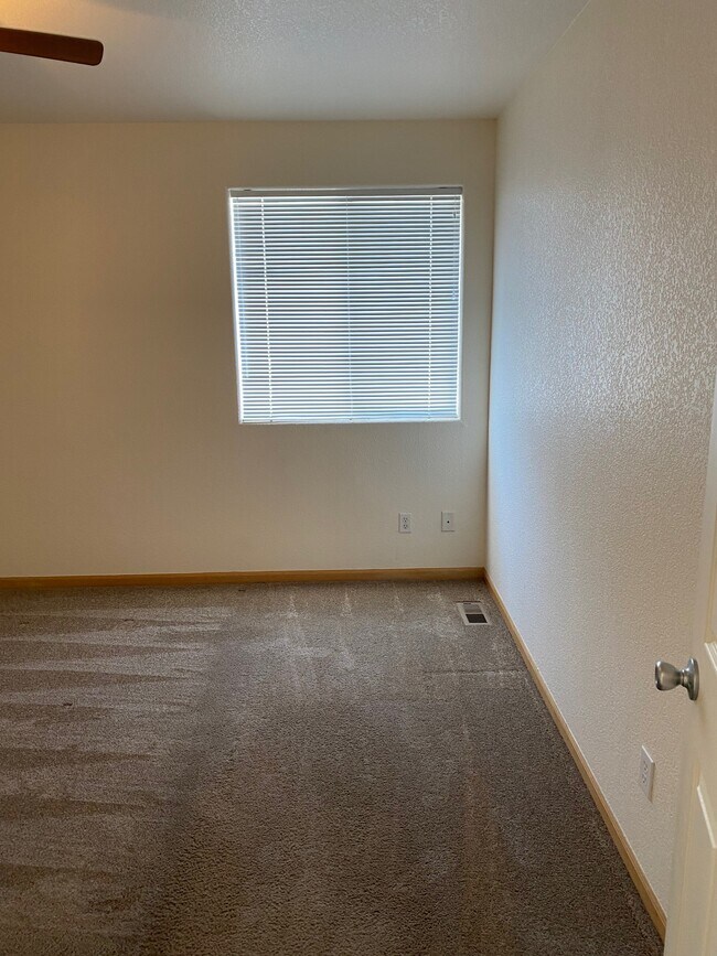 3761 Mt Flora St, Wellington, CO 80549 - photo 5