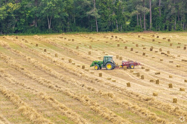 Located nearly 40 miles from Raleigh, Meadow is surrounded by farmland.