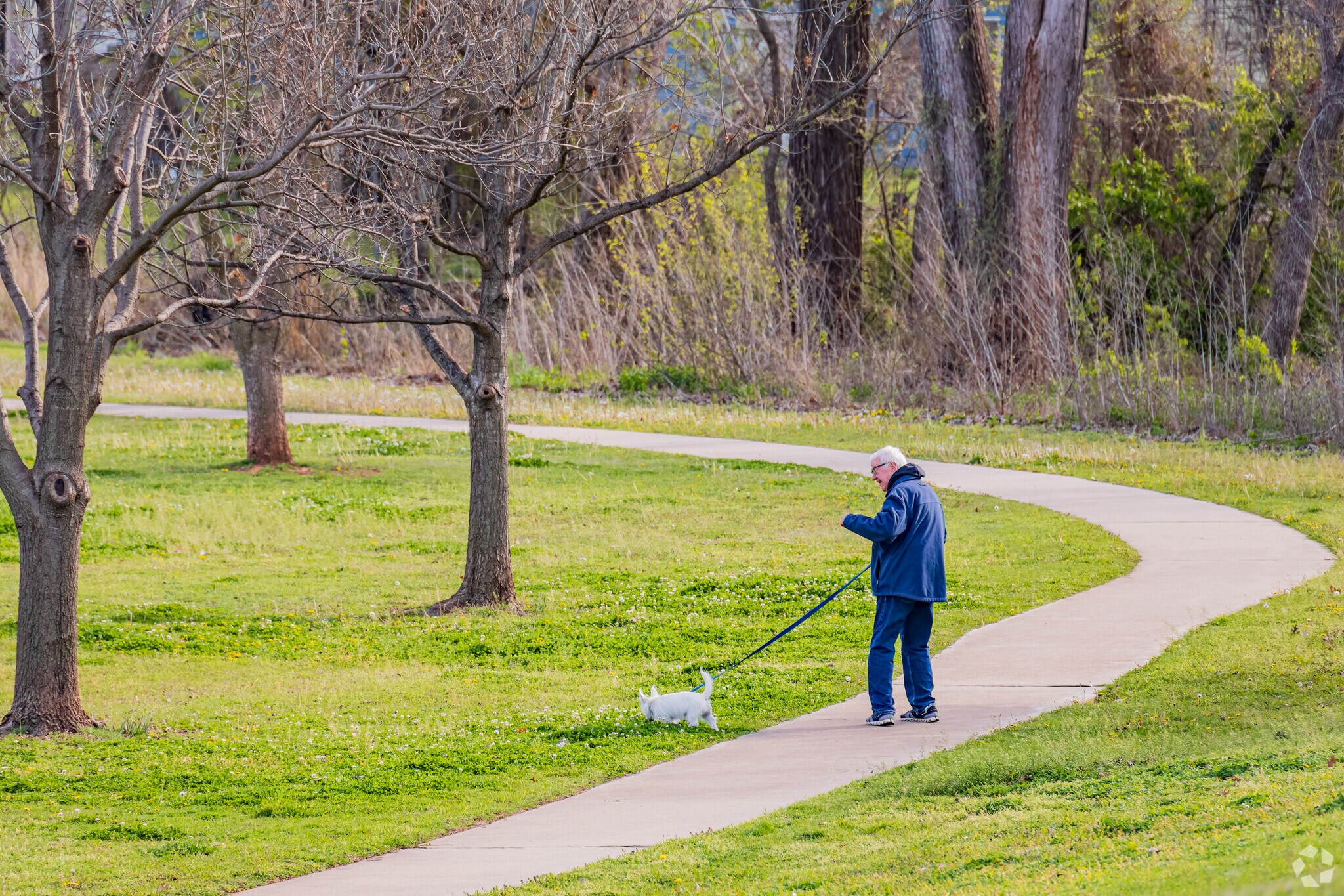 Residents can walk their dog in Smitty Park.