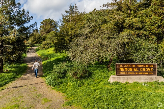 El Cerrito has excellent walking trails near the Memorial Grove.
