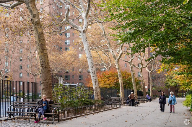 Joggers frequent StuyTown pathways shaded by trees in Stuyvesant.