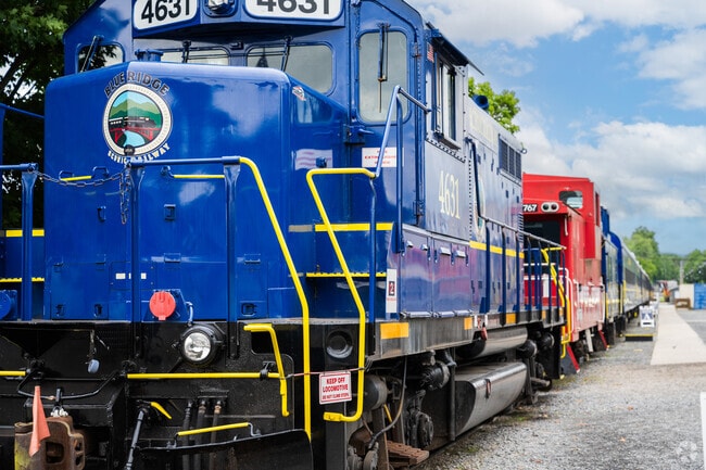 Traverse the majestic Blue Ridge Mountains and follow the serene Toccoa River for an enchanting journey on the Blue Ridge's Scenic Railway.