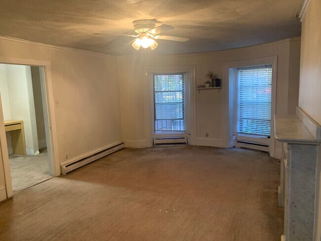 23 Worcester Square unit 1, Boston, MA 02118 - photo 5
