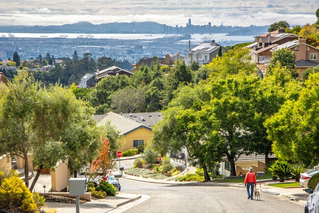 From the hilly Glen Highlands neighborhood residents have a gorgeous view of the Bay.
